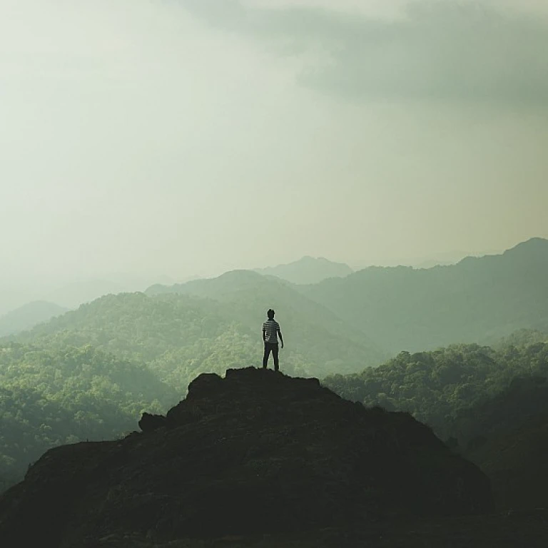 Navigating the World of Pharmaceutical Employment Agencies
