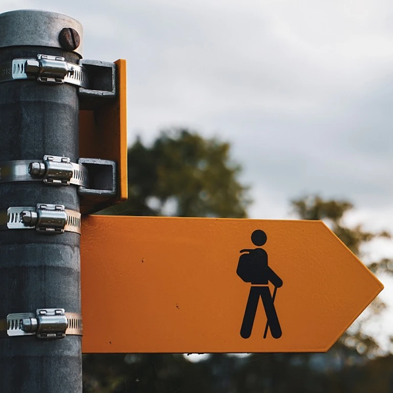 Finding the ideal partner for your recruitment process outsourcing needs