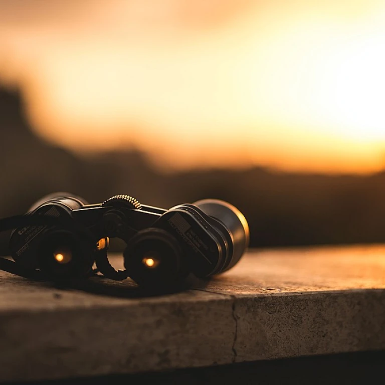 Crafting Compelling Job Ads to Attract Top Talent